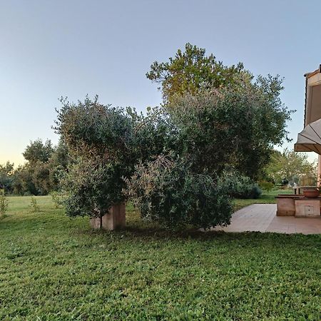 Agriturismo Fontelupo Bracciano  Exterior photo