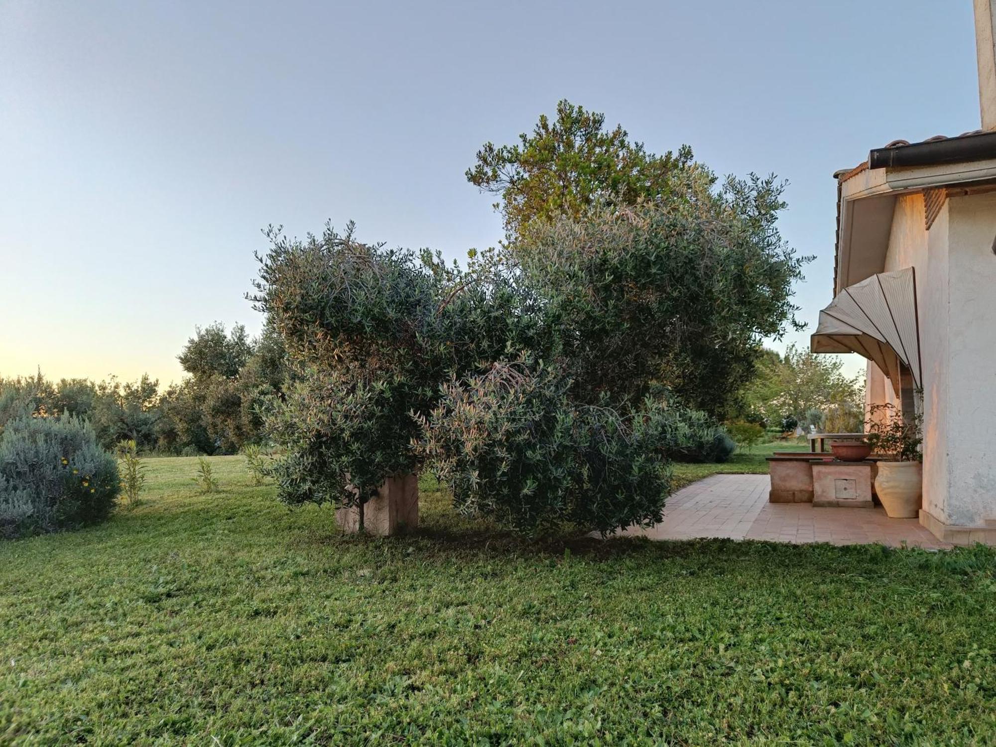 Agriturismo Fontelupo Bracciano  Exterior photo