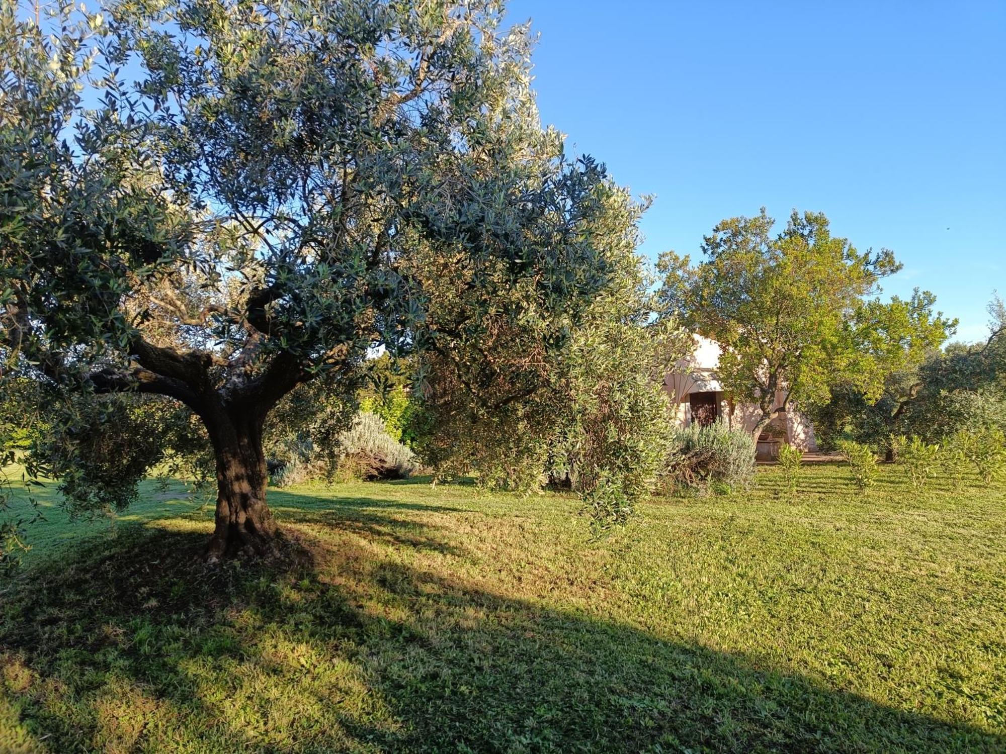 Agriturismo Fontelupo Bracciano  Exterior photo